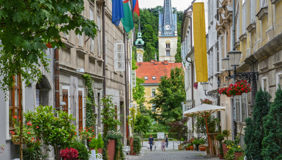 Zelena Ljubljana Dunja Wedam 3