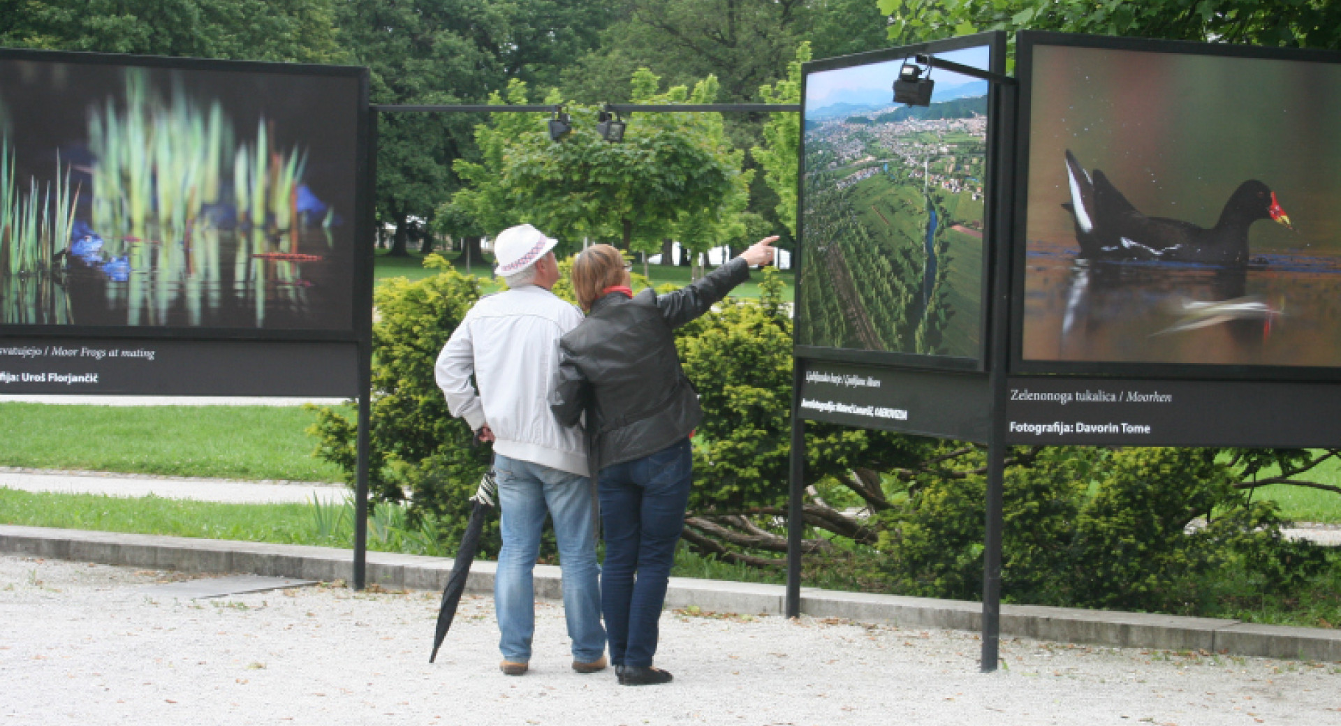 Vidiki redkosti