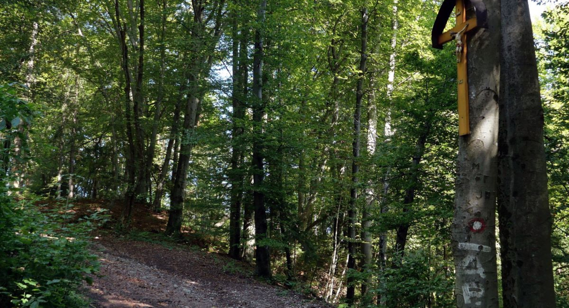 A forest path with a wooden cross on a tree trunk.