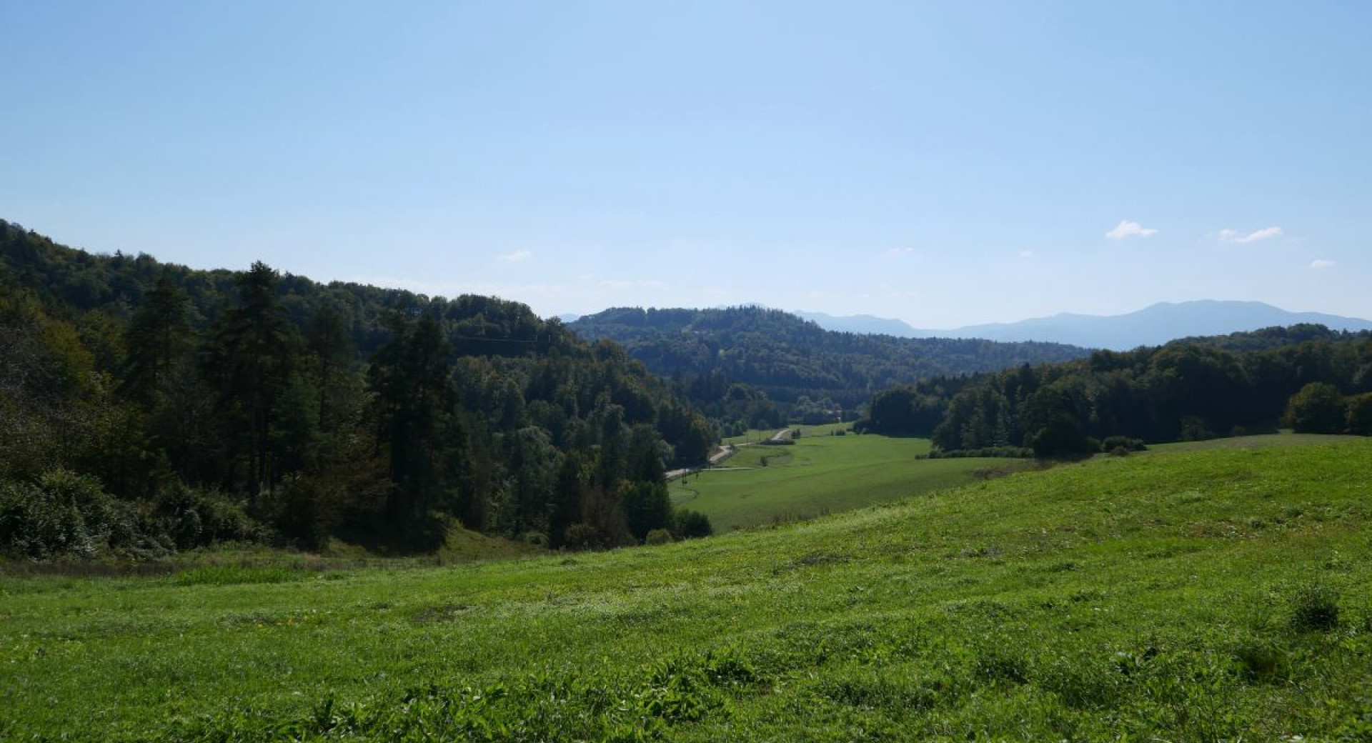 Pogled na travnik in gore v ozadju.