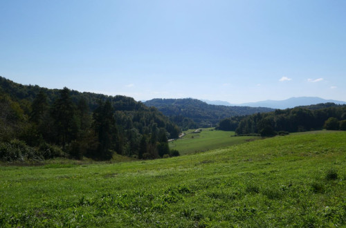 Pogled na travnik in gore v ozadju.