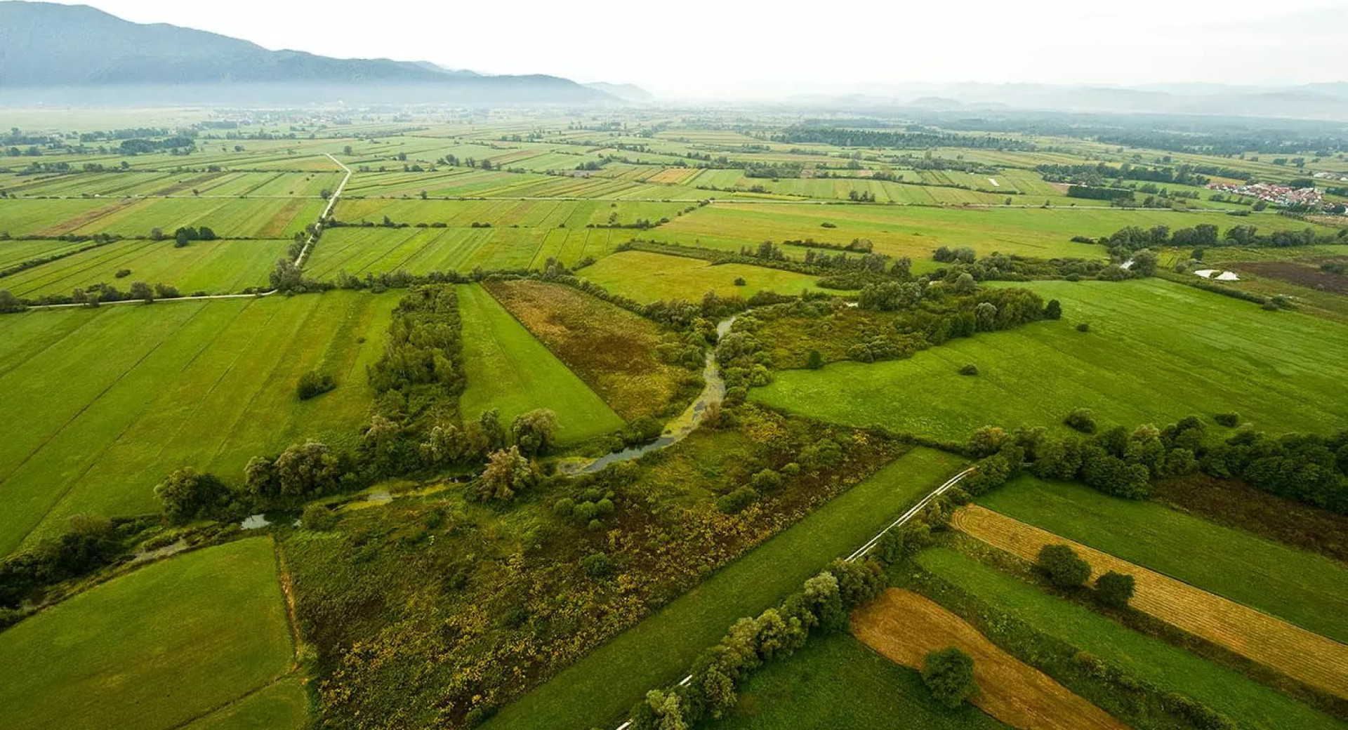 An aerial view of fields.