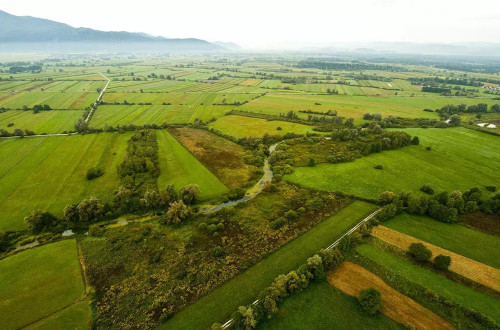 An aerial view of fields.