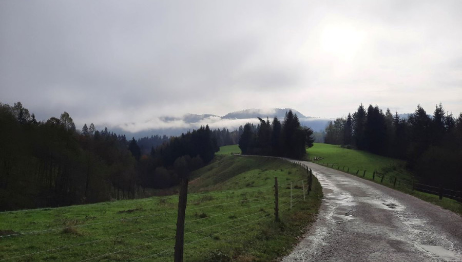 A cloudy sky above the hiking trail.