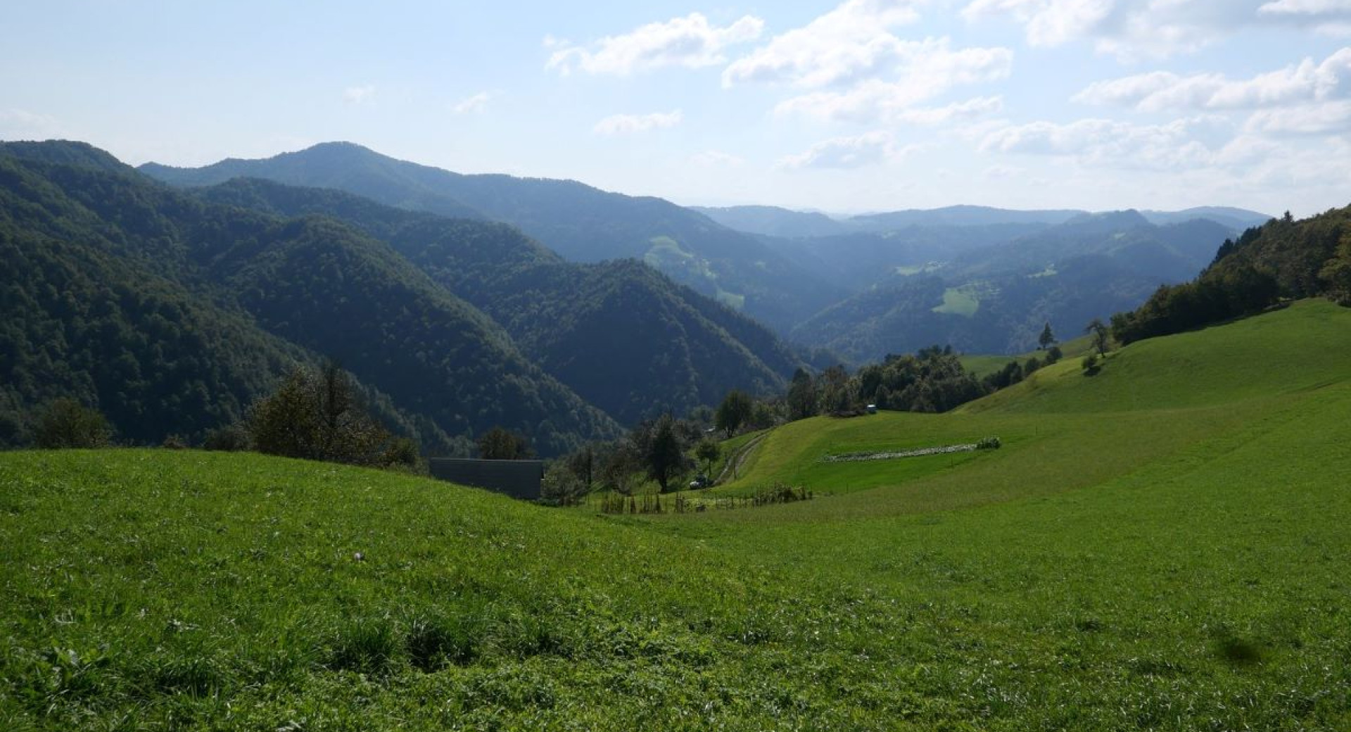 A landscape with wide meadows and forested hills.