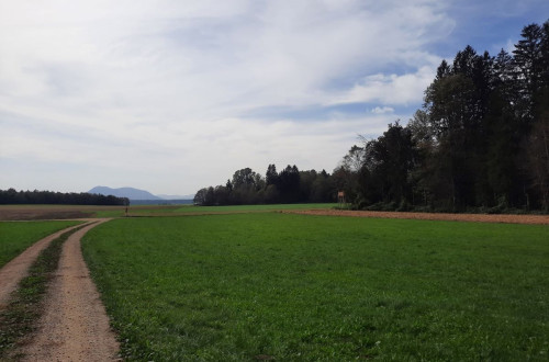 A plain with meadows and forests.