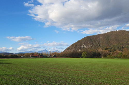 A view of a field with hills in the background.