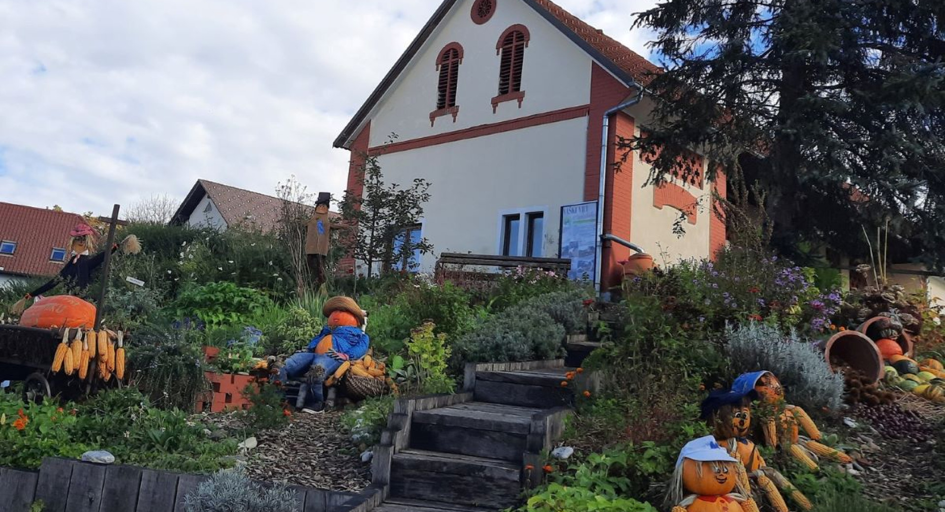 Scarecrows made from pumpkins and corn in a garden.