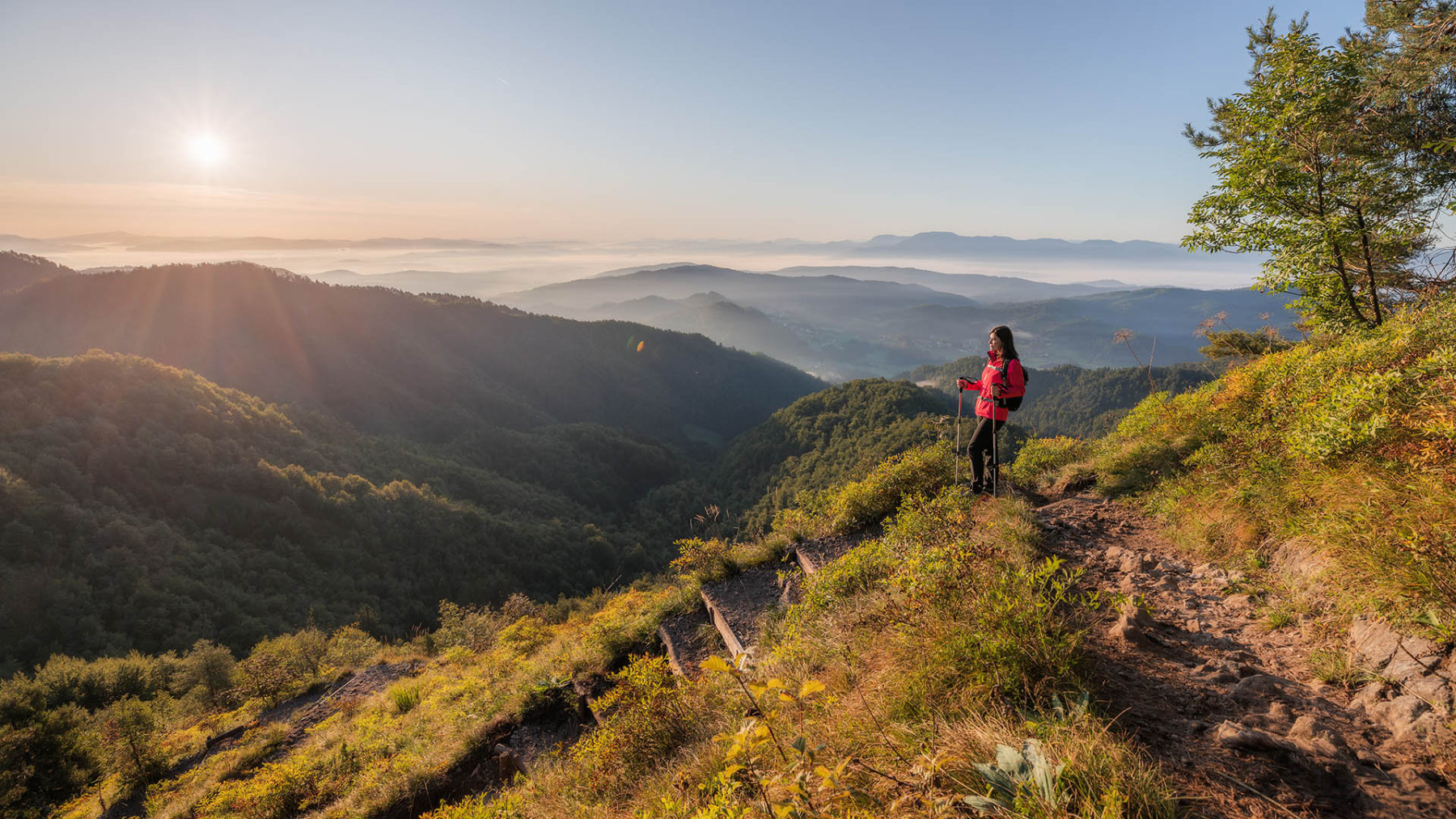 hiking trails banner2