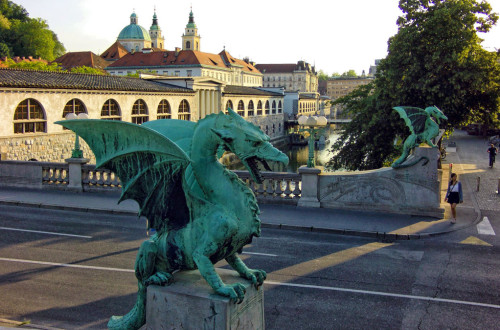 Zmaja na Zmajskem mostu. V ozadju arkade Plečnikovih tržnic.