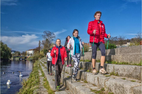 Pohodniki na nordijski hoji ob Ljubljanici, v kateri plavajo labodi.