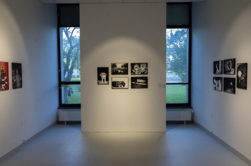 Black and white photographs on display. A room with white walls and two windows.