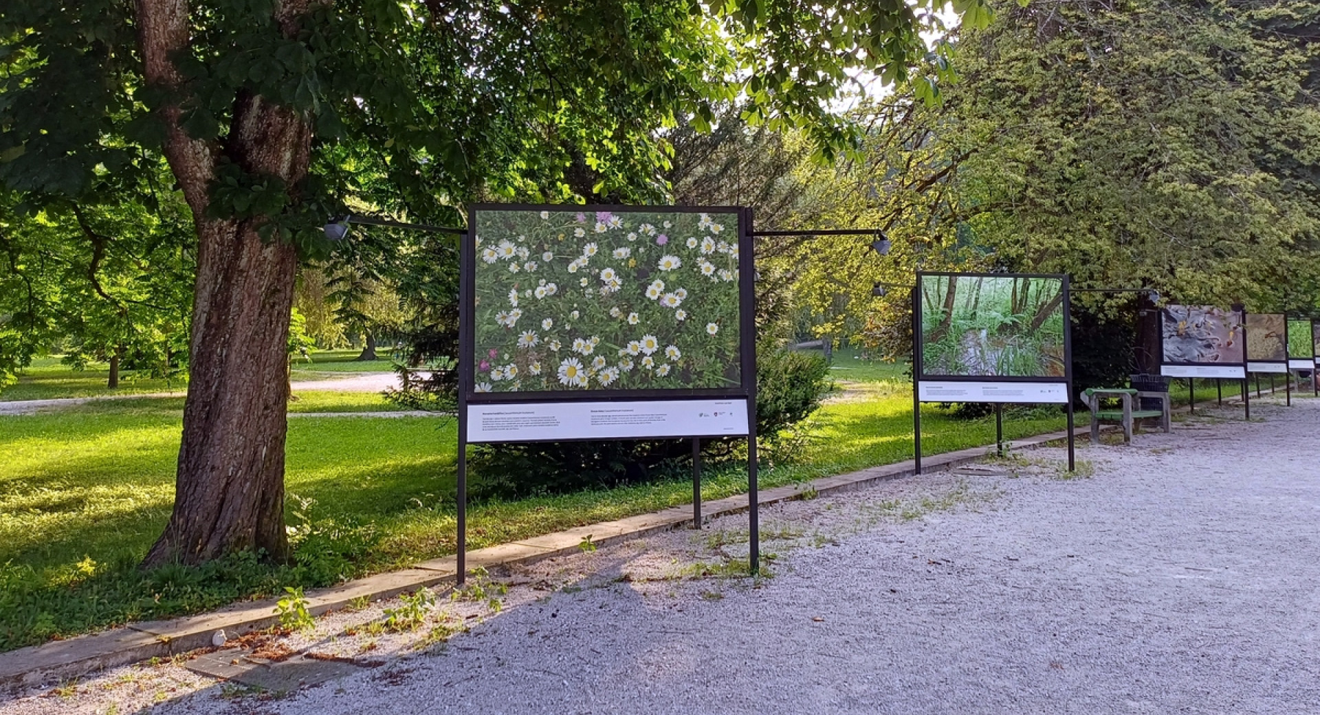 Fotografije narave na razstavnih panojih v parku.