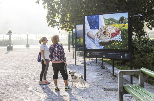 Obiskovalki na ogledu razstave na prostem.