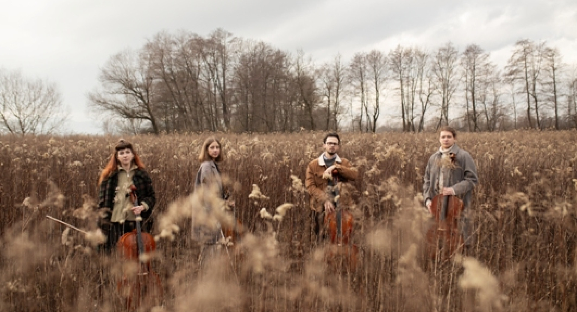 Four people with string instruments are standing in a field.