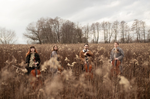 Four people with string instruments are standing in a field.