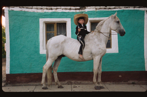 Decek s klobukom na belem konju. 