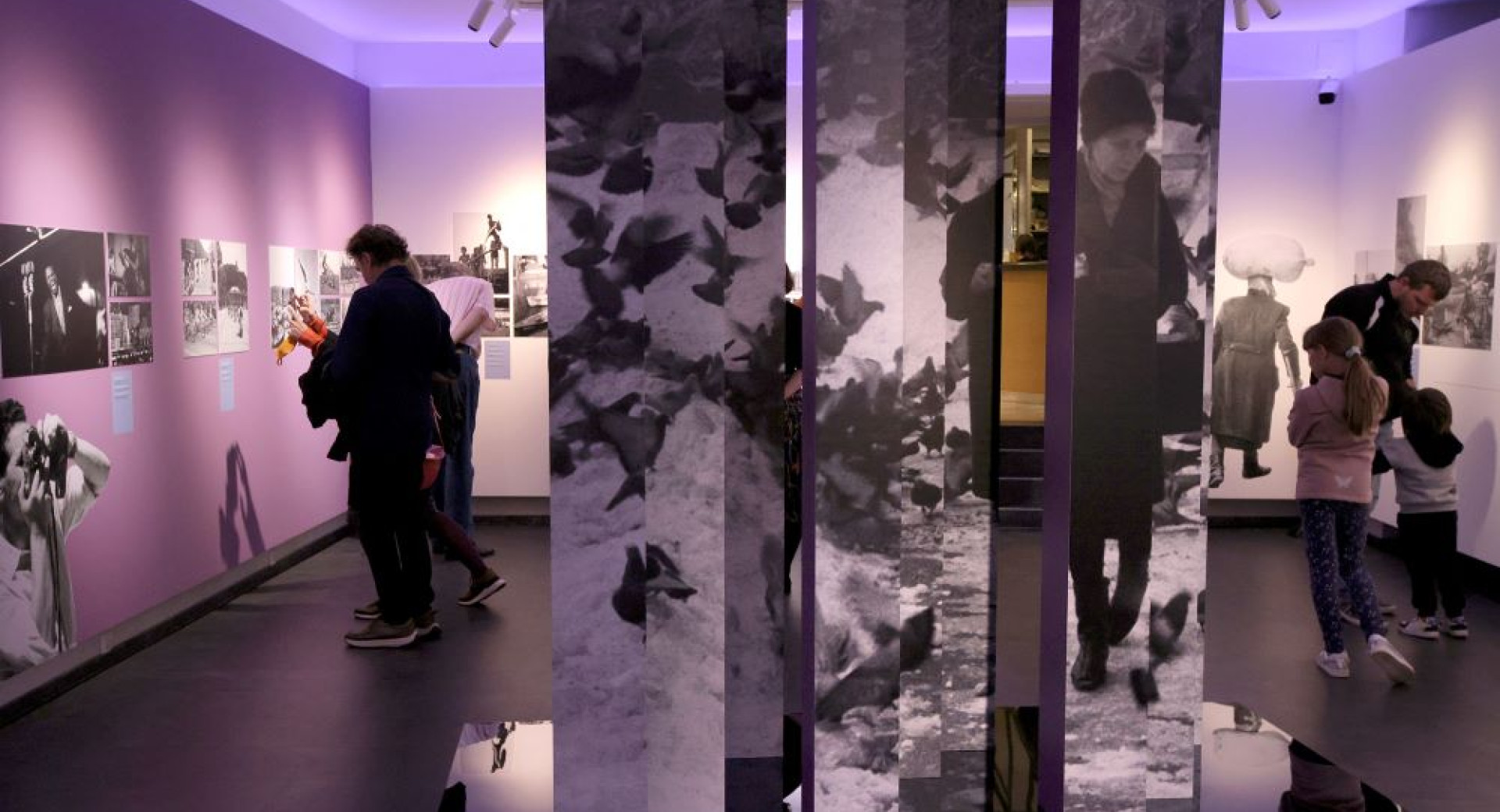 Visitors at the exhibition are viewing the photographs on the wall.