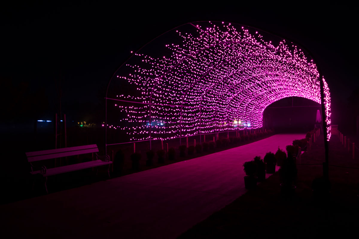 A long tunel illuminated in pink lights.