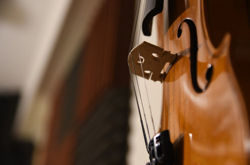 MARIJA TEREZIJA KOLMAN, violina in LEIT QUARTET_foto MAGstd, Pixabay