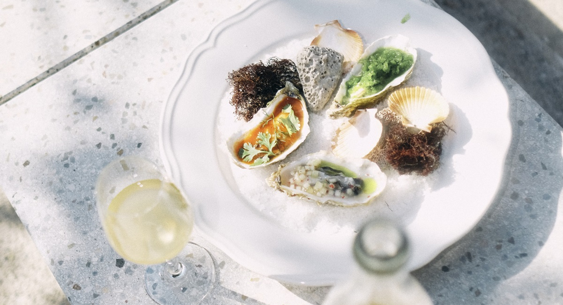 A white plate with oysters on a white background.