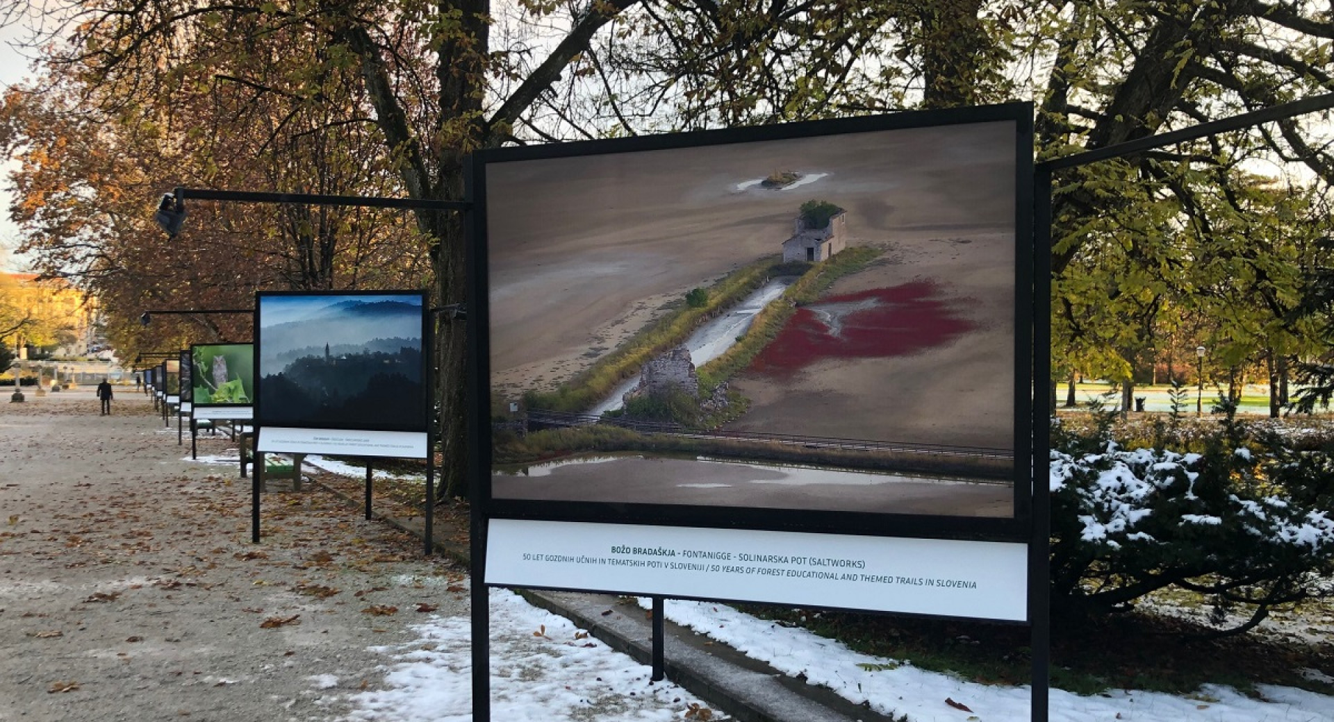 Gramozna pot z vrsto panovjev, ki prikazujejo naravo.