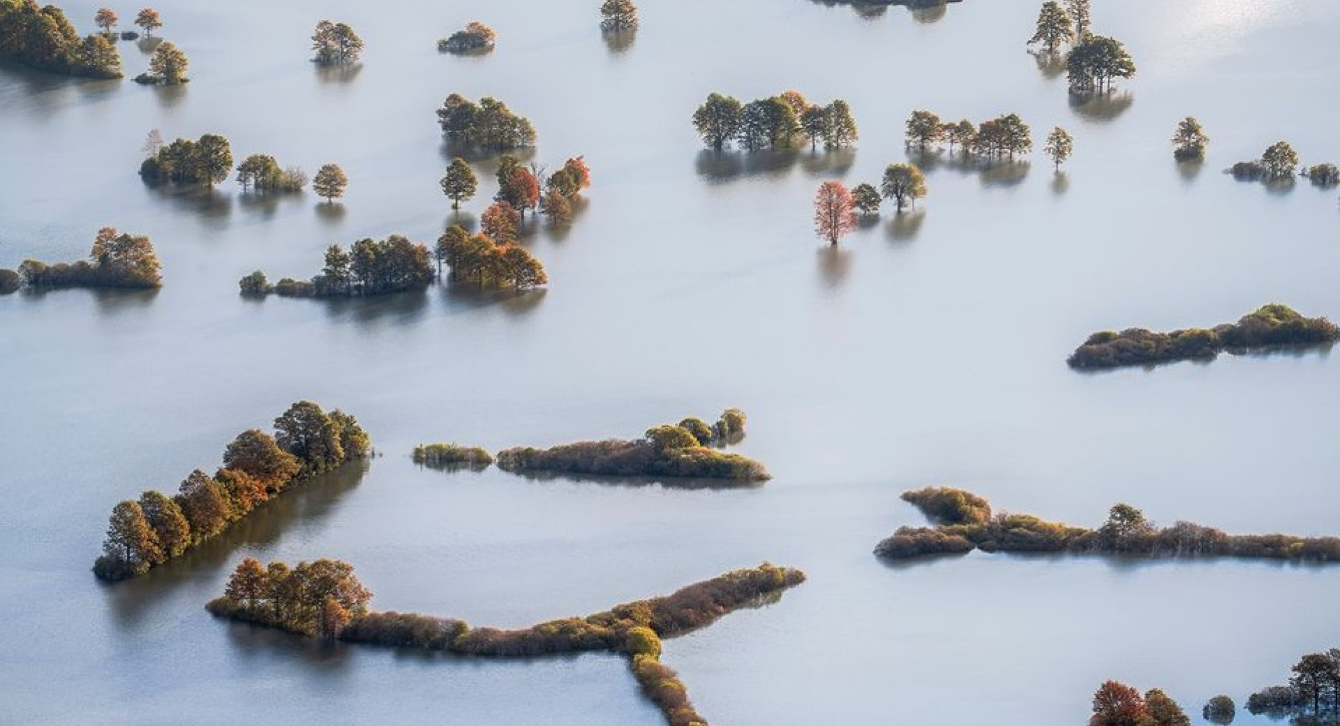 A water area with trees, painted from the air.