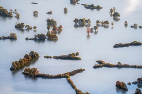 A water area with trees, painted from the air.