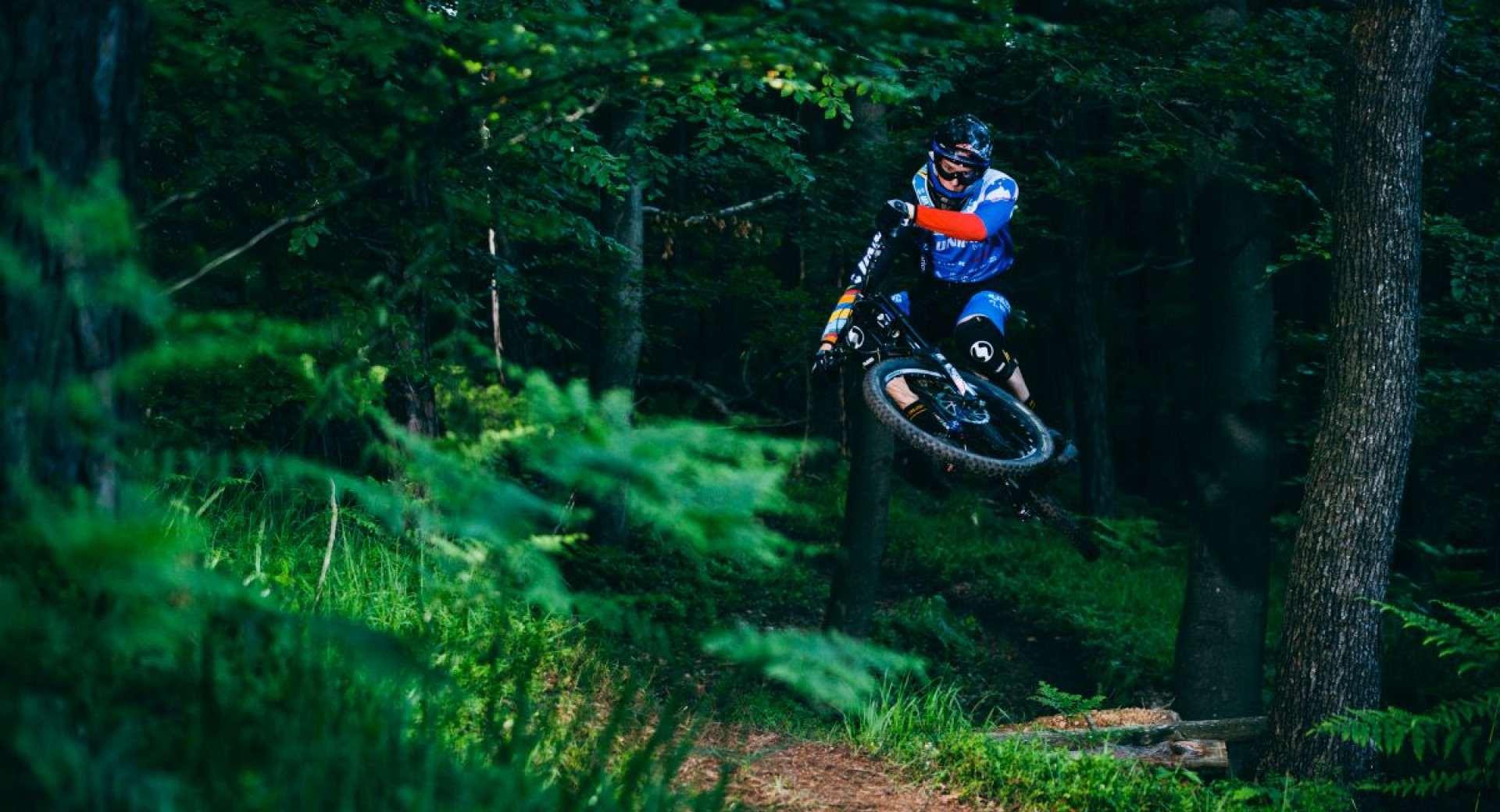 A mountain biker jumping on a natural forest trail, surrounded by lush greenery and trees.