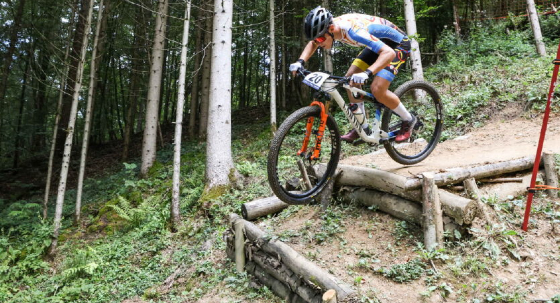 The photograph shows a competitive mountain biker descending wooden steps on a natural forest trail, surrounded by lush greenery and trees.