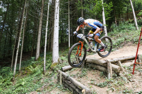 The photograph shows a competitive mountain biker descending wooden steps on a natural forest trail, surrounded by lush greenery and trees.