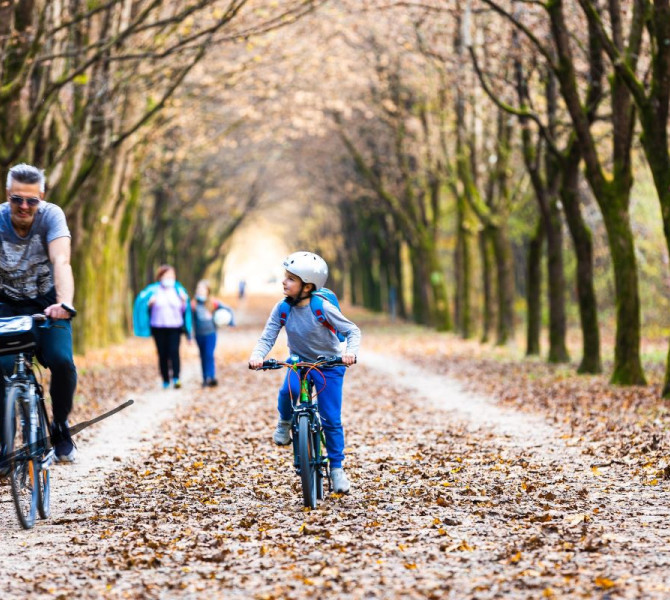 A child and a star cycle along a leaf-covered path in the middle of an avenue.