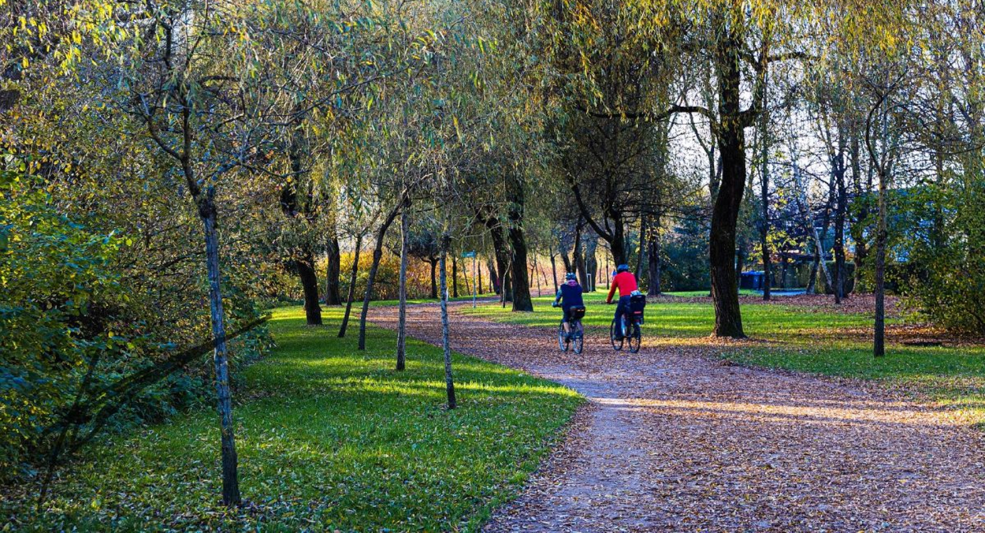 Two people are cycling along a path covered with autumn leaves in the middle of the park.