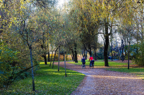 Two people are cycling along a path covered with autumn leaves in the middle of the park.