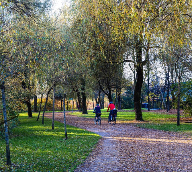 Two people are cycling along a path covered with autumn leaves in the middle of the park.