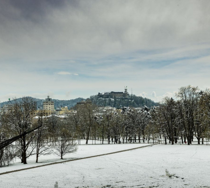 A snowy park with trees in the foreground, city buildings in the background and a castle hill under a cloudy winter sky.