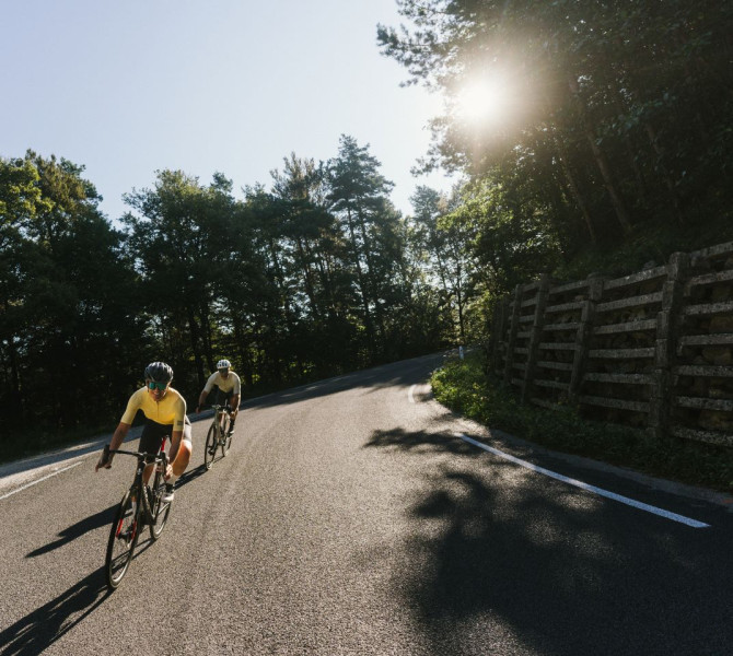 Two cyclists are riding along a tarmacked road through a forest, illuminated by sunlight.