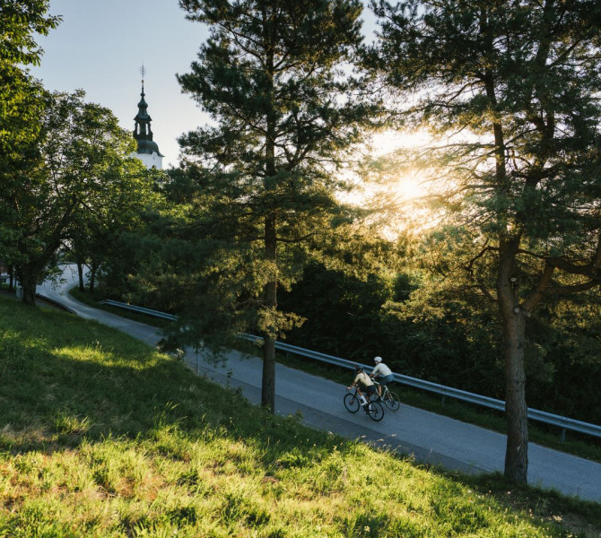 The cyclists are riding along a paved road surrounded by tall trees, with sunlight streaming through. A church can be seen in the background.