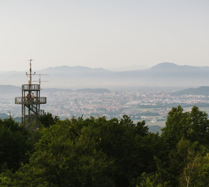 Razgledni, kateri sega nad drevesi in nudi razgled nad naseljeno dolino.