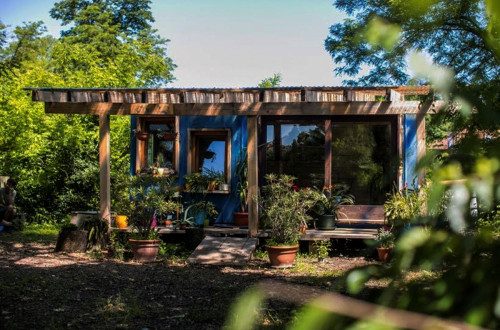 A small plant sanctuary surrounded by lush greenery, featuring a wooden structure with large windows and potted plants on the porch.