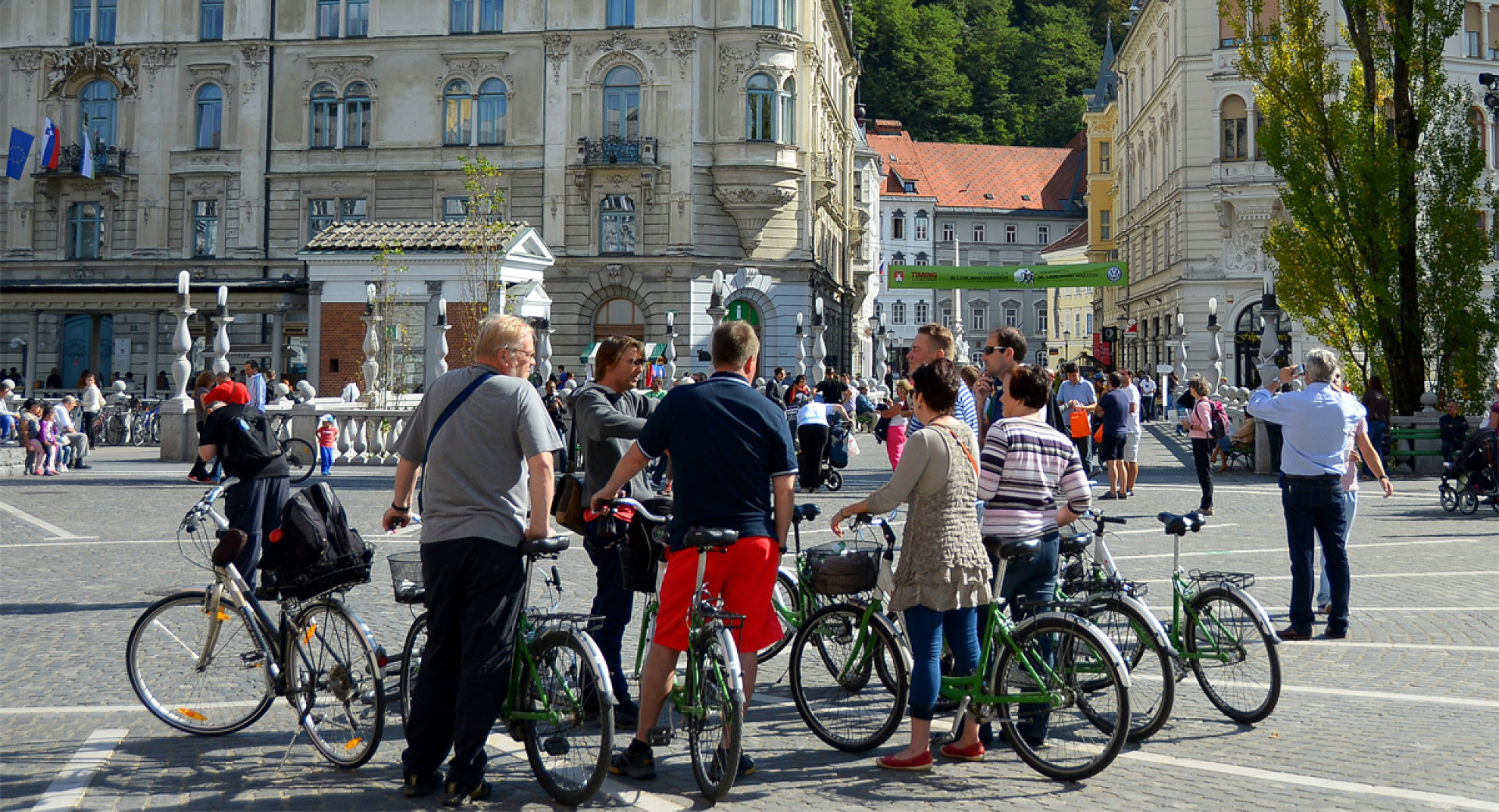 Ljubljansko kolo Ogled