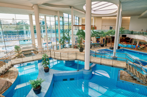 A large indoor pool with a bridge, greenery, and large glass windows.