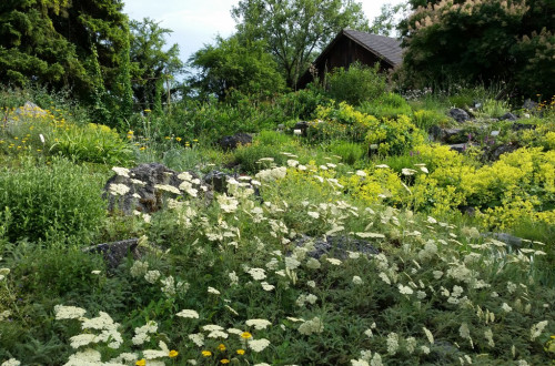 botanical garden cover