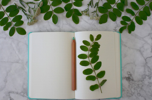 On the marble surface lies an open, dotted notebook with a turquoise cover. A light brown ink pencil is placed on the open, blank pages. Several green leaves are scattered around the notebook.