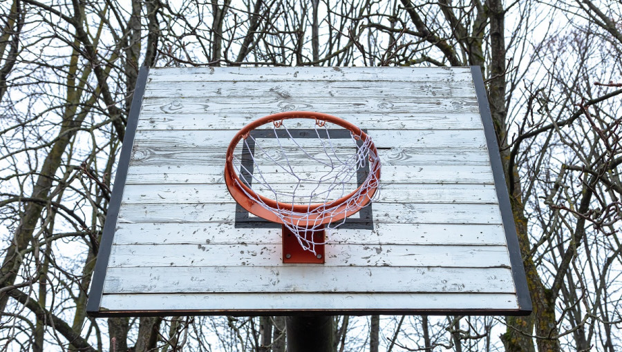 A whie board with a basketball hoop among the trees.