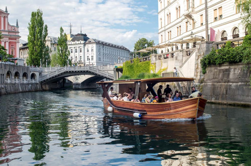 Ljubljanica borina misica