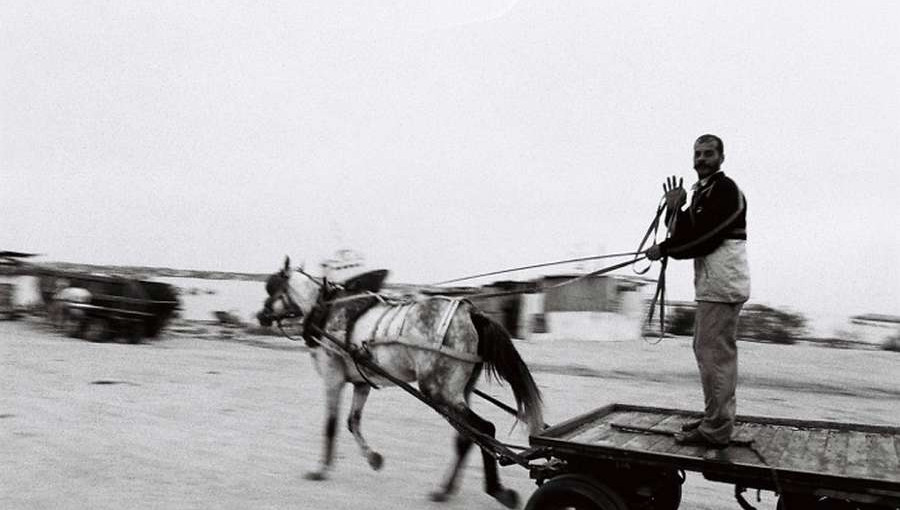 Crno-bela fotografija moskega, ki stoji na vozu. Vprezen konj.