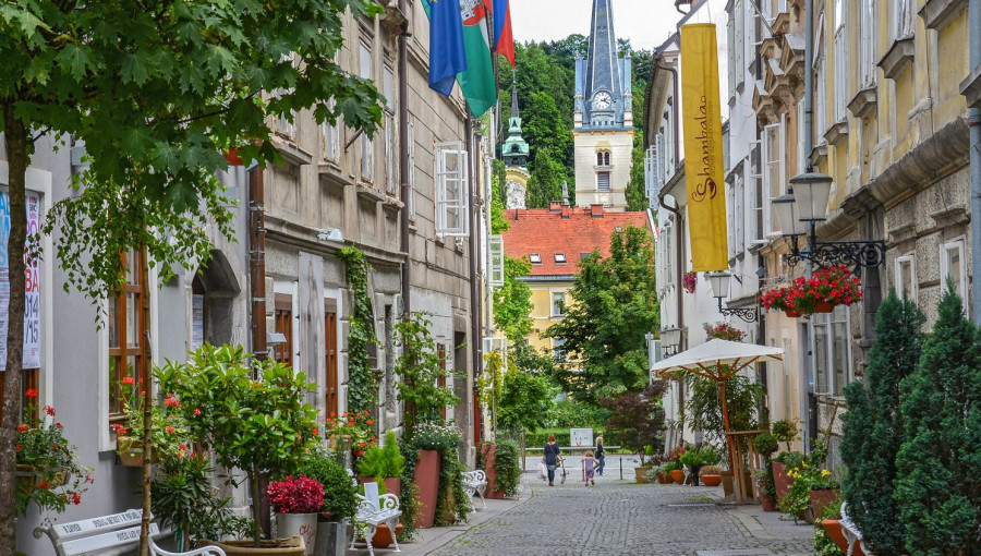 Zelena Ljubljana Dunja Wedam 2