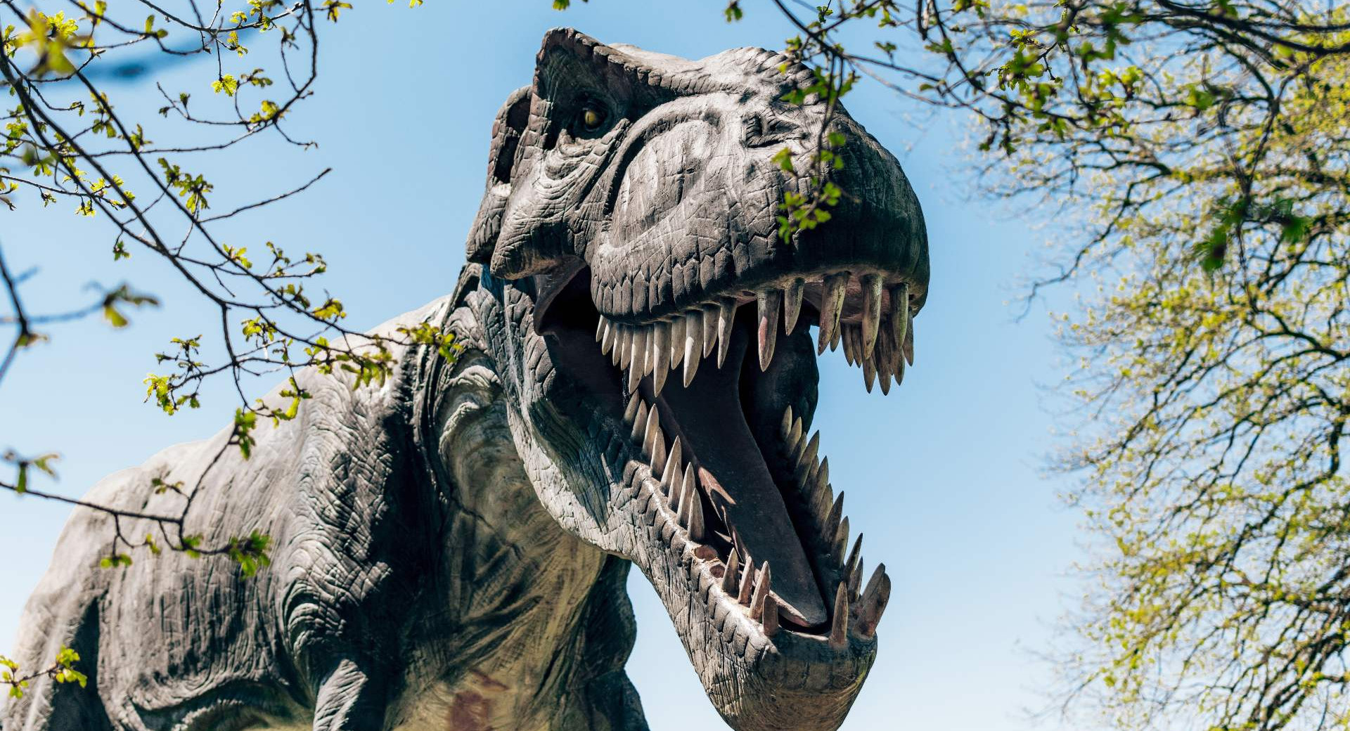 t-rex model surrounded by branches